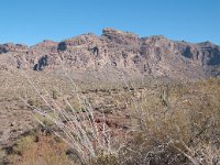 2009 Phoenix-43 : Pheonix, AZ