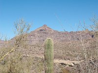 2009 Phoenix-44 : Pheonix Arizona, Pheonix, AZ