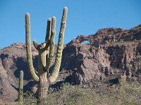 2009 Phoenix-46 : Pheonix, AZ