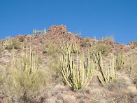 2009 Phoenix-58 : Pheonix Arizona, Pheonix, AZ