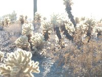 2009 Phoenix-60 : Pheonix, AZ