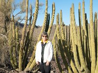 2009 Phoenix-65 : Pheonix, AZ