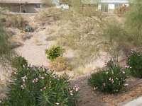 2009 Phoenix-74 : Pheonix Arizona, Pheonix, AZ