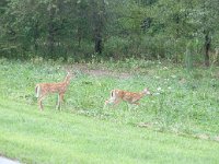 ProphetstownSP 0101 : 2009 - Prophetstown SP