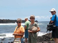 2010 Hawaii 0116 : 2010 - Hawaii, Bird Family