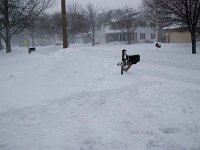 2011 Blizzard 0002