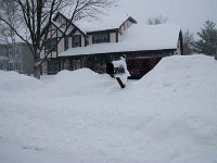 2011 Blizzard 0004