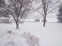 2011 Blizzard 0006