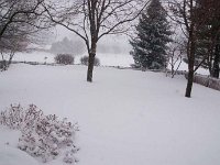 2011 Blizzard 0007