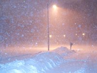 2011 Blizzard 0010