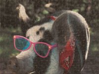 Eagleridge 2011 Pig1