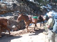 2011 GrandCanyonAZ-12