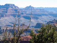 2011 GrandCanyonAZ-49 : Pheonix Arizona, 2011 - Phoenix AZ