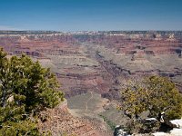2011 GrandCanyonAZ-61 : Pheonix Arizona, 2011 - Phoenix AZ
