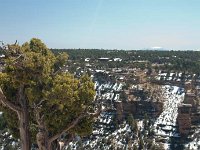 2011 GrandCanyonAZ-62 : Pheonix Arizona, 2011 - Phoenix AZ