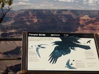 2011 GrandCanyonAZ-82 : Pheonix Arizona, 2011 - Phoenix AZ
