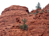 2011 SedonaAZ-9 : Pheonix Arizona, 2011 - Phoenix AZ