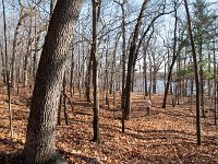2011 PickerelLake-14