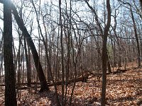 2011 PickerelLake-15