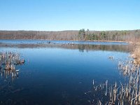 2011 PickerelLake-21 : Edberg - 1212 Bainbridge Dr