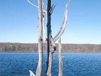 2011 PickerelLake-6 : Edberg - 1212 Bainbridge Dr