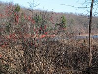 2011 PickerelLake-9
