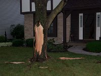 2011 TreeLightning-8 : Edberg - 1212 Bainbridge Dr