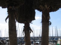 TelAvivIsrael EricWork 2012-03 : Israel - Tel Aviv