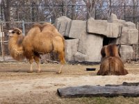 BrookfieldZoo 2012 0006 : Edberg Family, Brookfield Zoo