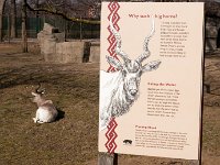 BrookfieldZoo 2012 0011 : Edberg Family, Brookfield Zoo