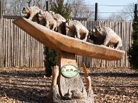 BrookfieldZoo 2012 0022 : Edberg Family, Brookfield Zoo