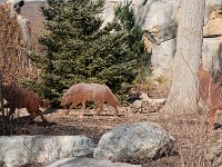 BrookfieldZoo 2012 0028 : Edberg Family, Brookfield Zoo