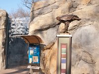 BrookfieldZoo 2012 0032 : Edberg Family, Brookfield Zoo