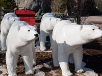 BrookfieldZoo 2012 0040 : Edberg Family, Brookfield Zoo