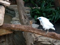 BrookfieldZoo 2012 0056 : Edberg Family, Brookfield Zoo