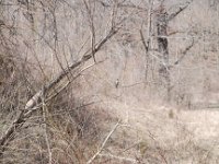 DSC 0009 : Eagle Ridge, Galena IL