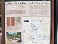 KingsCanyon GrantsGrove-1 : 2013 - California