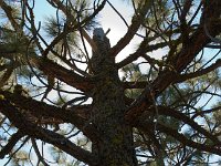 KingsCanyon HotelCreekTrail-18 : 2013 - California