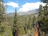 KingsCanyon HotelCreekTrail-19 : 2013 - California
