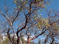 KingsCanyon HotelCreekTrail-20 : 2013 - California