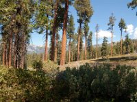 KingsCanyon HotelCreekTrail-6 : 2013 - California