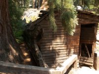 KingsCanyon TharpLog-4  Tharp Log @ Kings Canyon, CA : 2013 - California