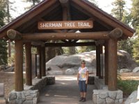 Sequoia GiantForest-2 : 2013 - California