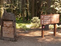Sequoia GiantForest-26 : 2013 - California