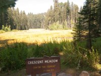 Sequoia GiantForest-27 : 2013 - California