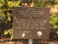 Sequoia GiantForest-3 : 2013 - California