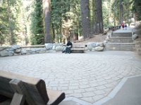Sequoia GiantForest-6 : 2013 - California