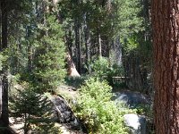 Sequoia HockettTrail-4 : 2013 - California