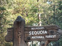 Sequoia NationalPark-1 : 2013 - California