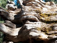 Yosemite OuterLoopTrail-10 : 2013 - California